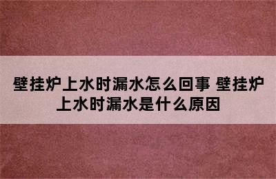 壁挂炉上水时漏水怎么回事 壁挂炉上水时漏水是什么原因